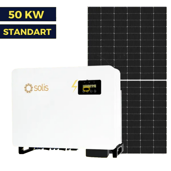 Сетевая солнечная станция на 50 кВт Standart | Solis 50 kw | LP Longi 425W 6003 фото